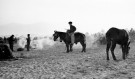 Camp d’Argelès-sur-Mer, février 1939. 