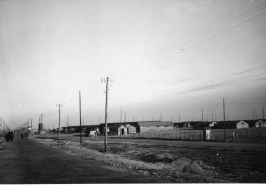 Le camp d’Argelès-sur-Mer au début de l’année 1942.